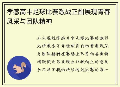 孝感高中足球比赛激战正酣展现青春风采与团队精神