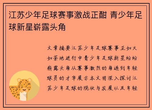 江苏少年足球赛事激战正酣 青少年足球新星崭露头角