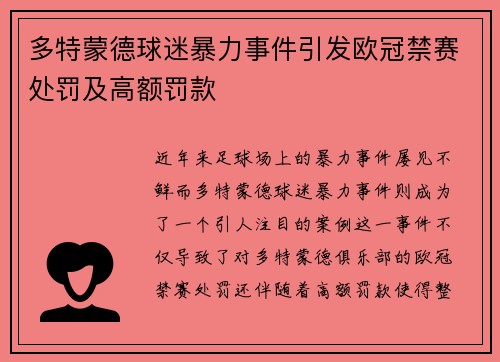 多特蒙德球迷暴力事件引发欧冠禁赛处罚及高额罚款