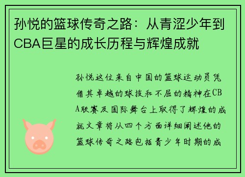 孙悦的篮球传奇之路：从青涩少年到CBA巨星的成长历程与辉煌成就