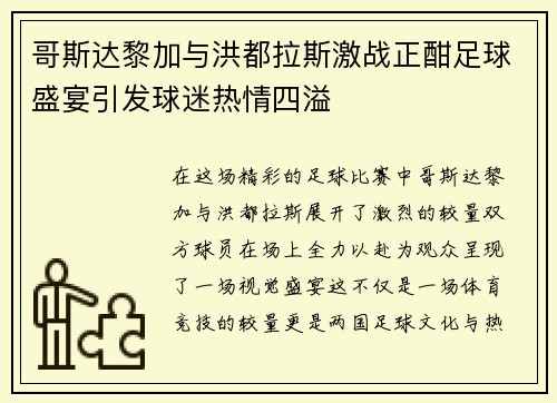哥斯达黎加与洪都拉斯激战正酣足球盛宴引发球迷热情四溢